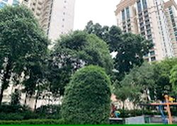 Gramercy Park (D10), Condominium #445816881